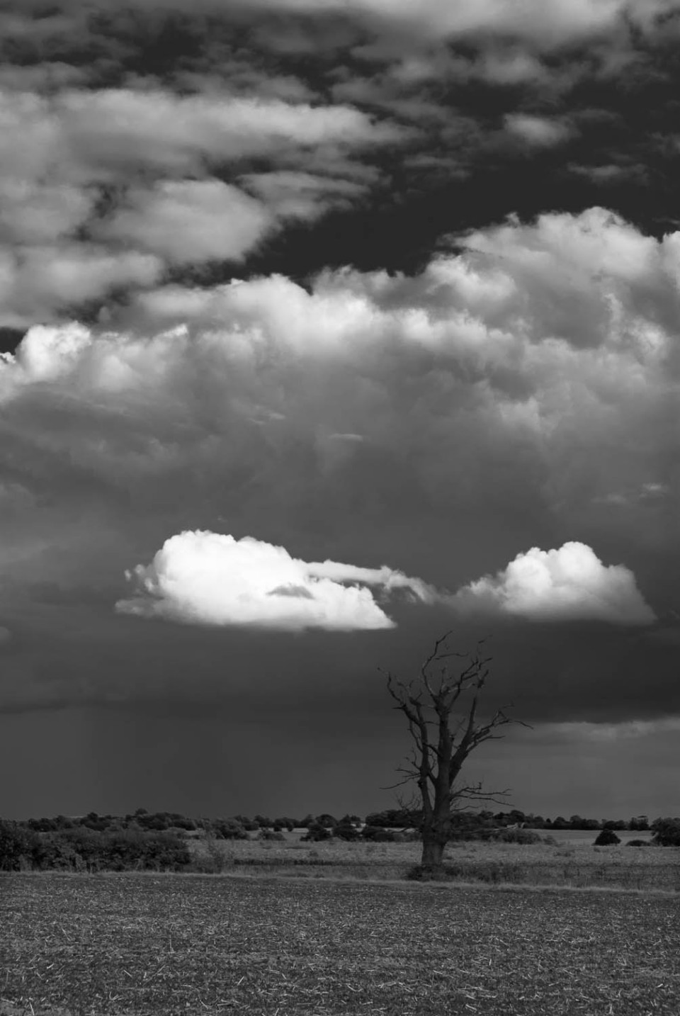 A black and white photograph of a plowed field, clouds and a dead tree in Matching, Essex