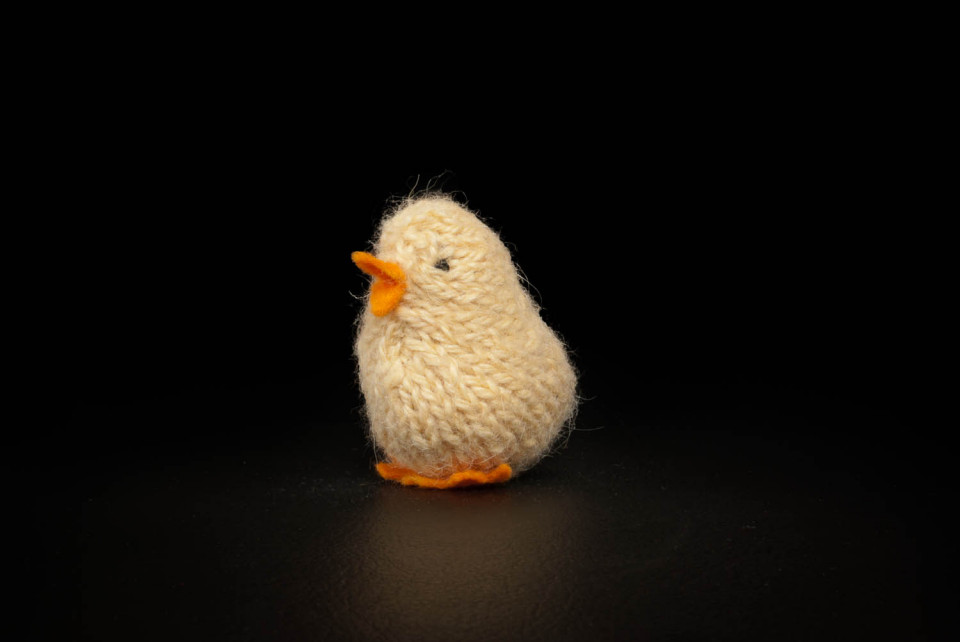 Fluffy Chick