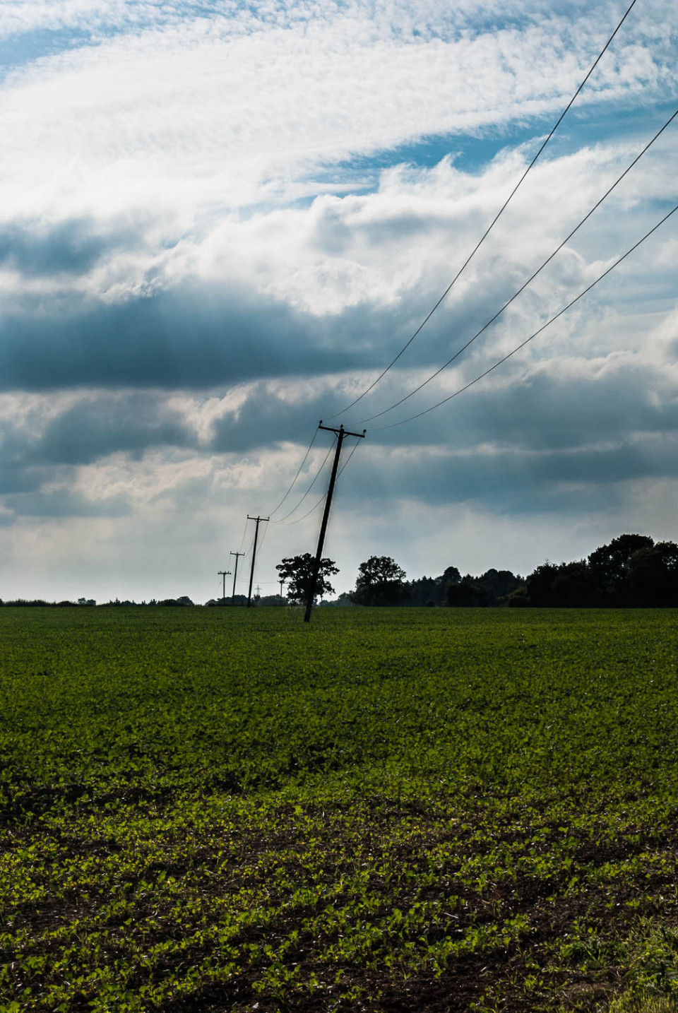 A photograph of power lines over a field with some pretty big clouds looming