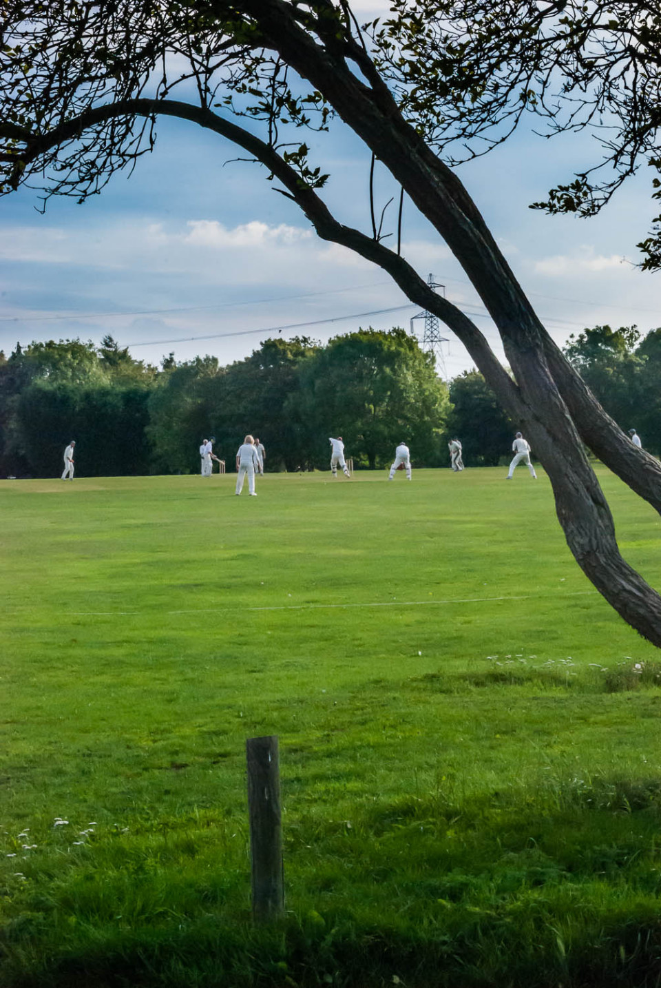 Cricket on Rickling Green