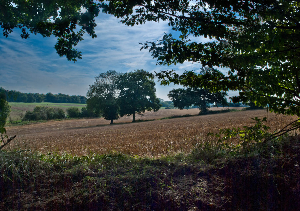 Looking out from the covered walk - Rickling Green