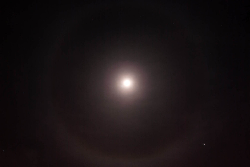 Moon Ring