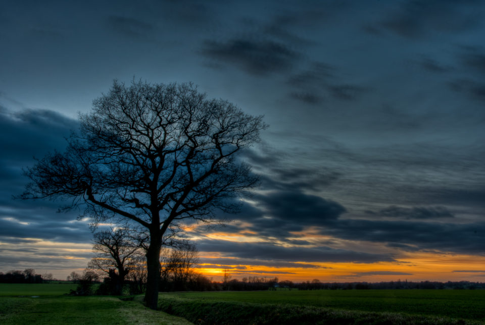 Berners Roding Sunset