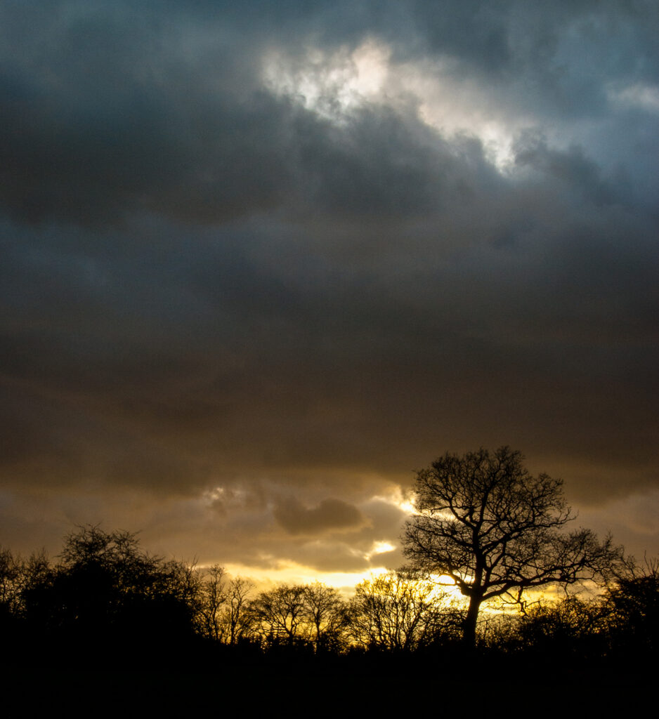 A sunset at Hanningfield Reservoir