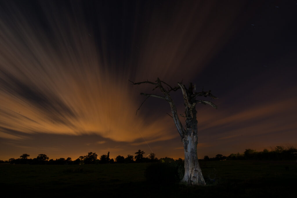 That's Harlow that is