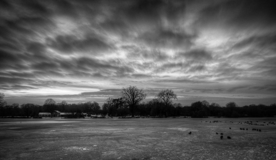 Hatfield Forest Lake Frozen in Winter