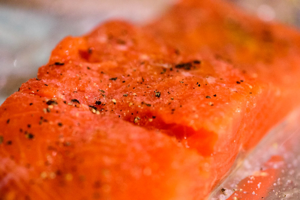 Sockeye Salmon
