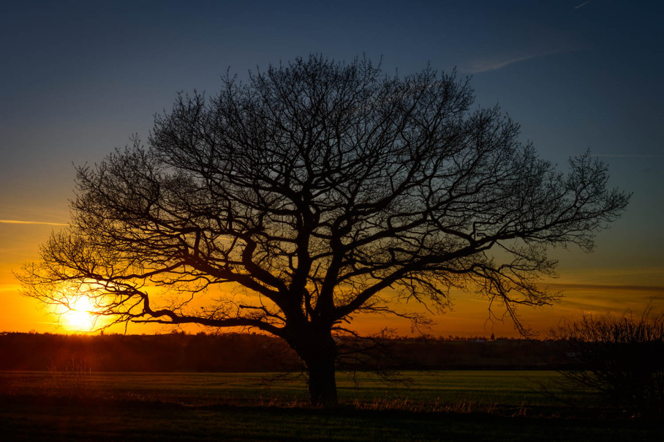 An Essex Sunset at Aythorpe Roding