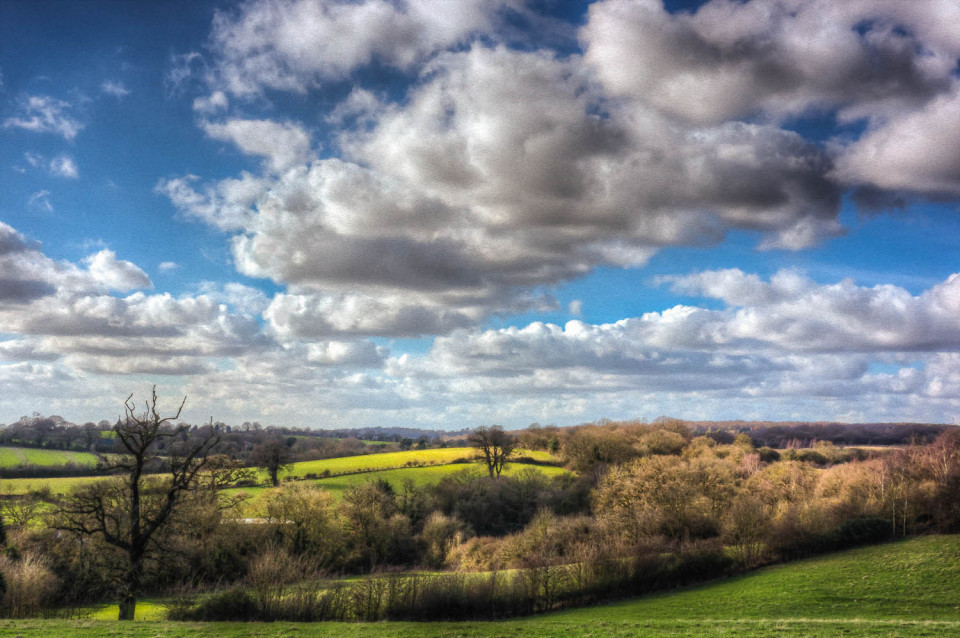 Thorndon Country Park