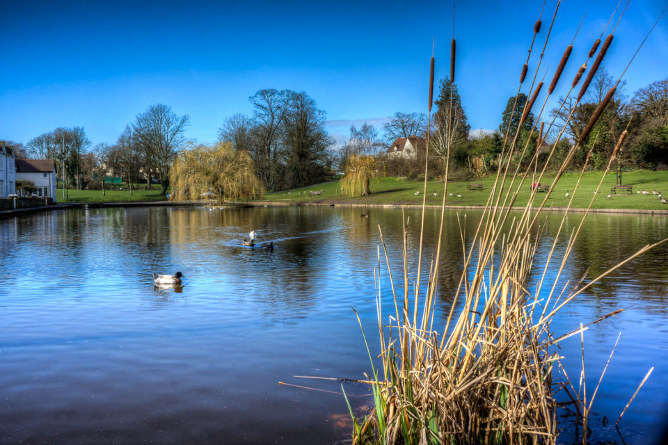 Doctors Pond, Great Dunmow, Essex