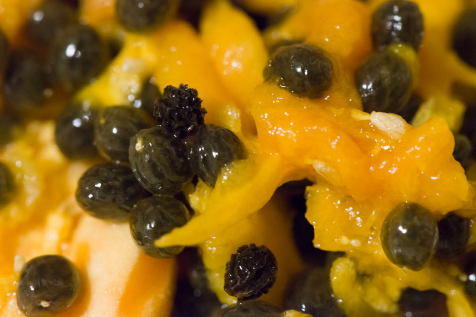 Papaya Seeds