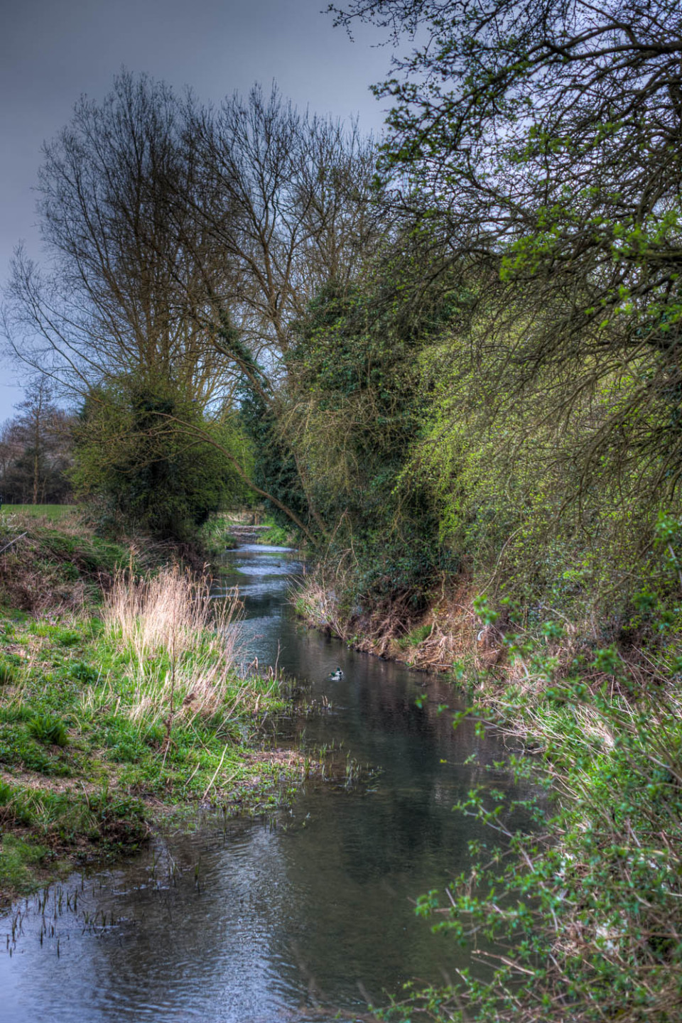 The River Stort, Dunmow, Essex