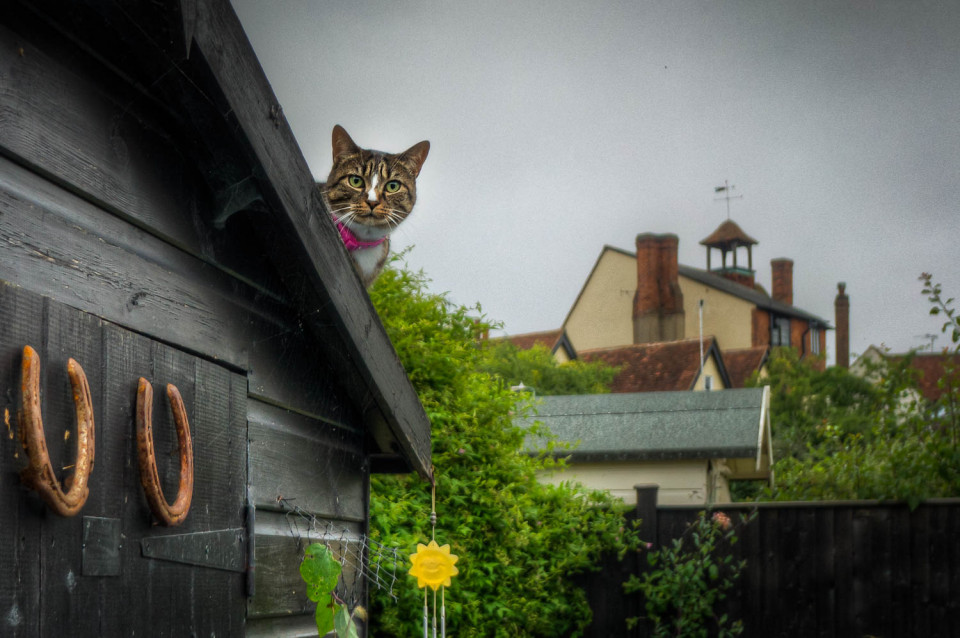 What Are You Looking At?