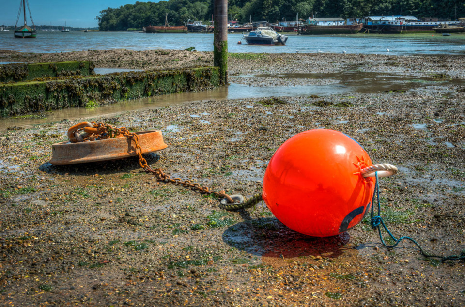 Who Pulled The Plug Out?