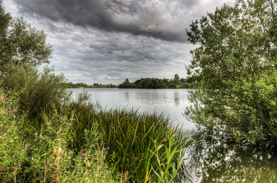Lemons Hill Alton Water