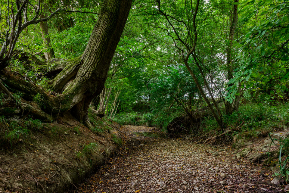 The River Cam has Dried Up