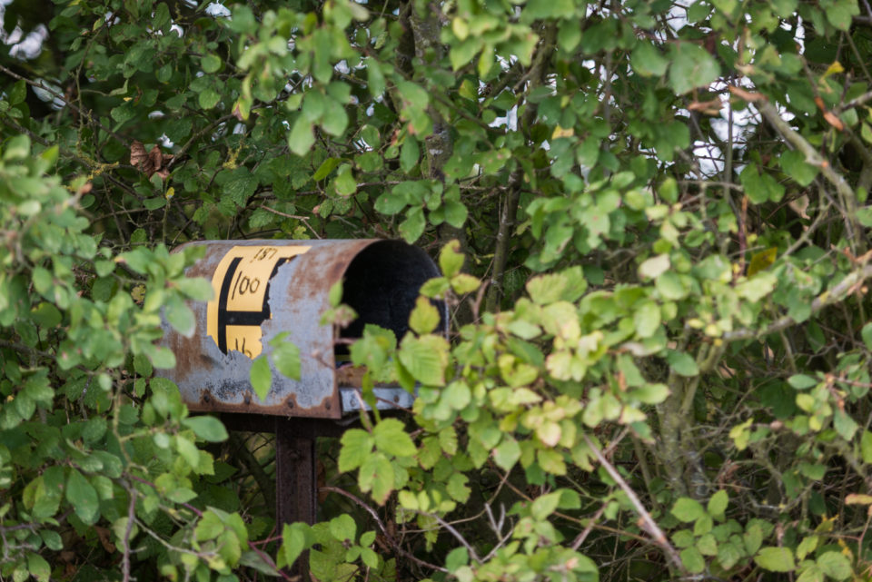 Heavily Used Mailbox