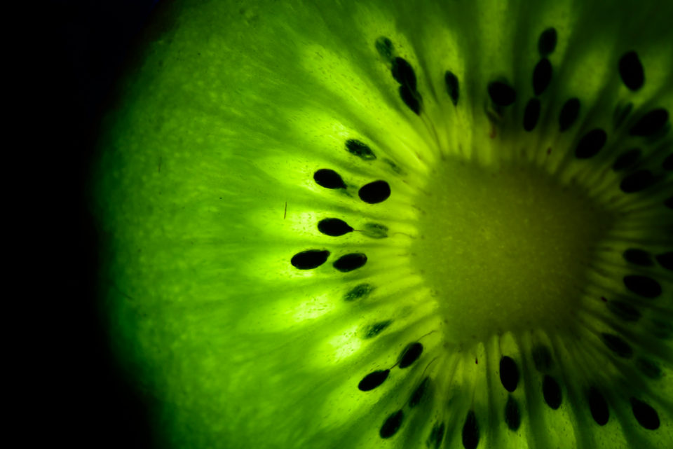 Escape from the Kiwi Fruit