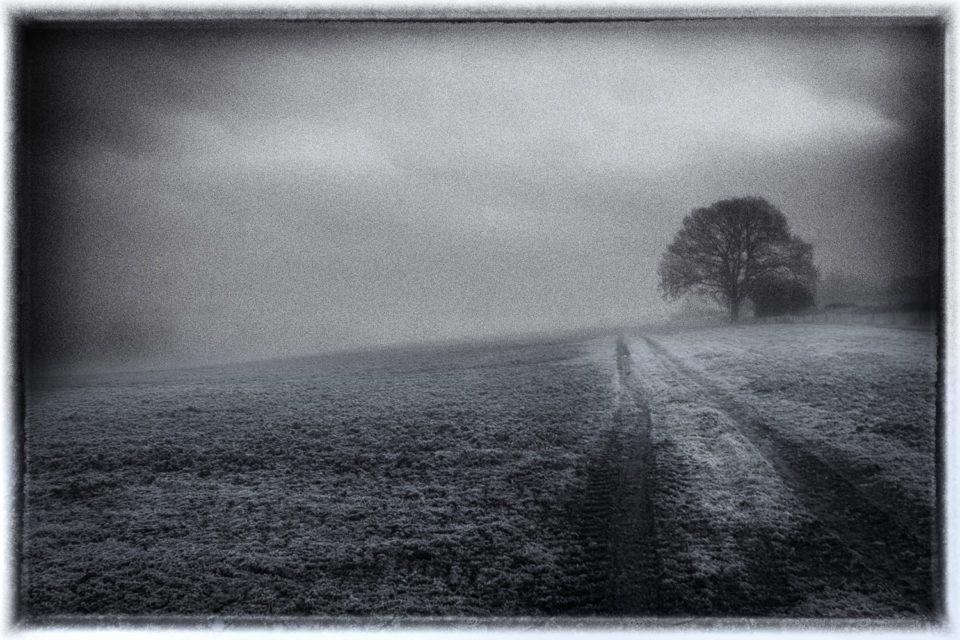 Cold and Frosty Morning