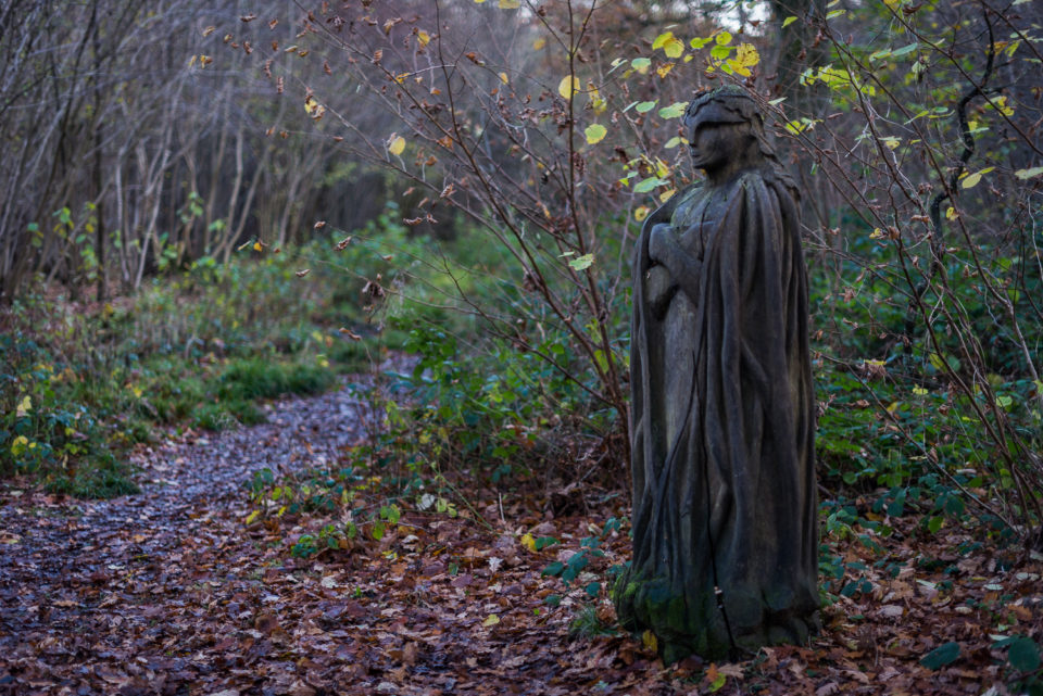 Guardian of the Woods