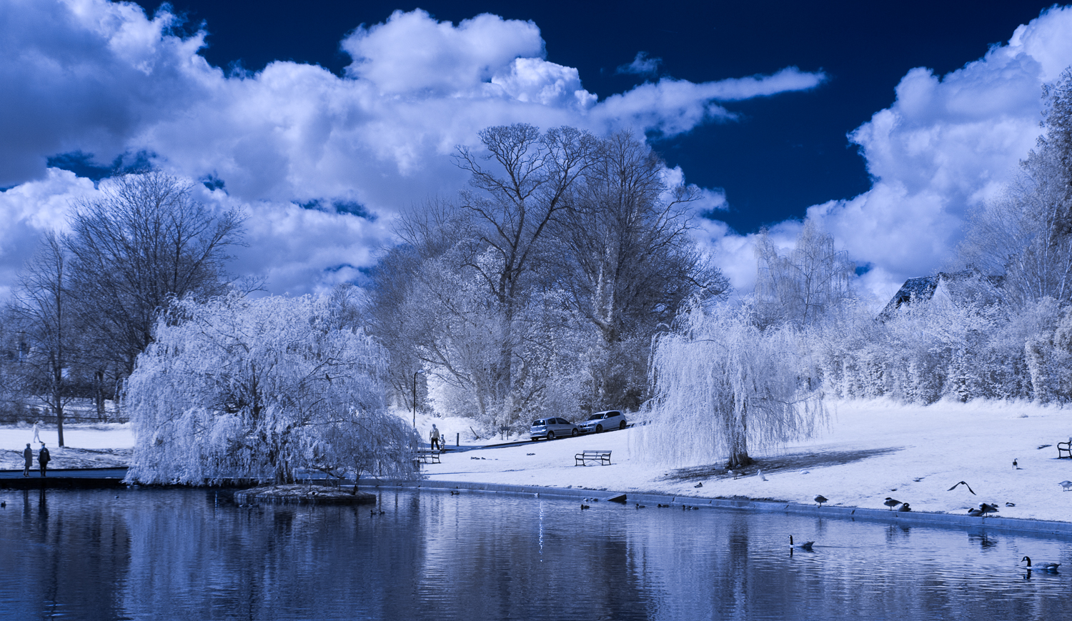 Doctors Pond Infa-Red