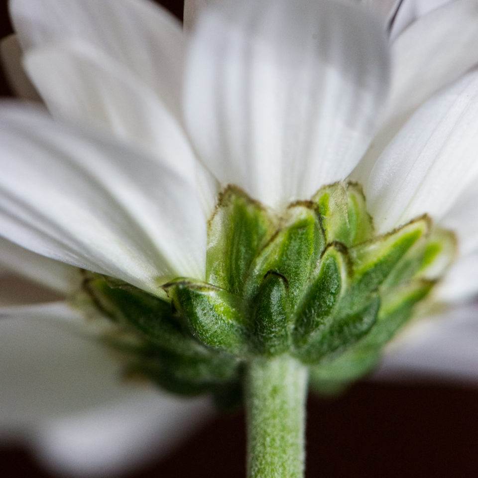 I've Turned My Back On You