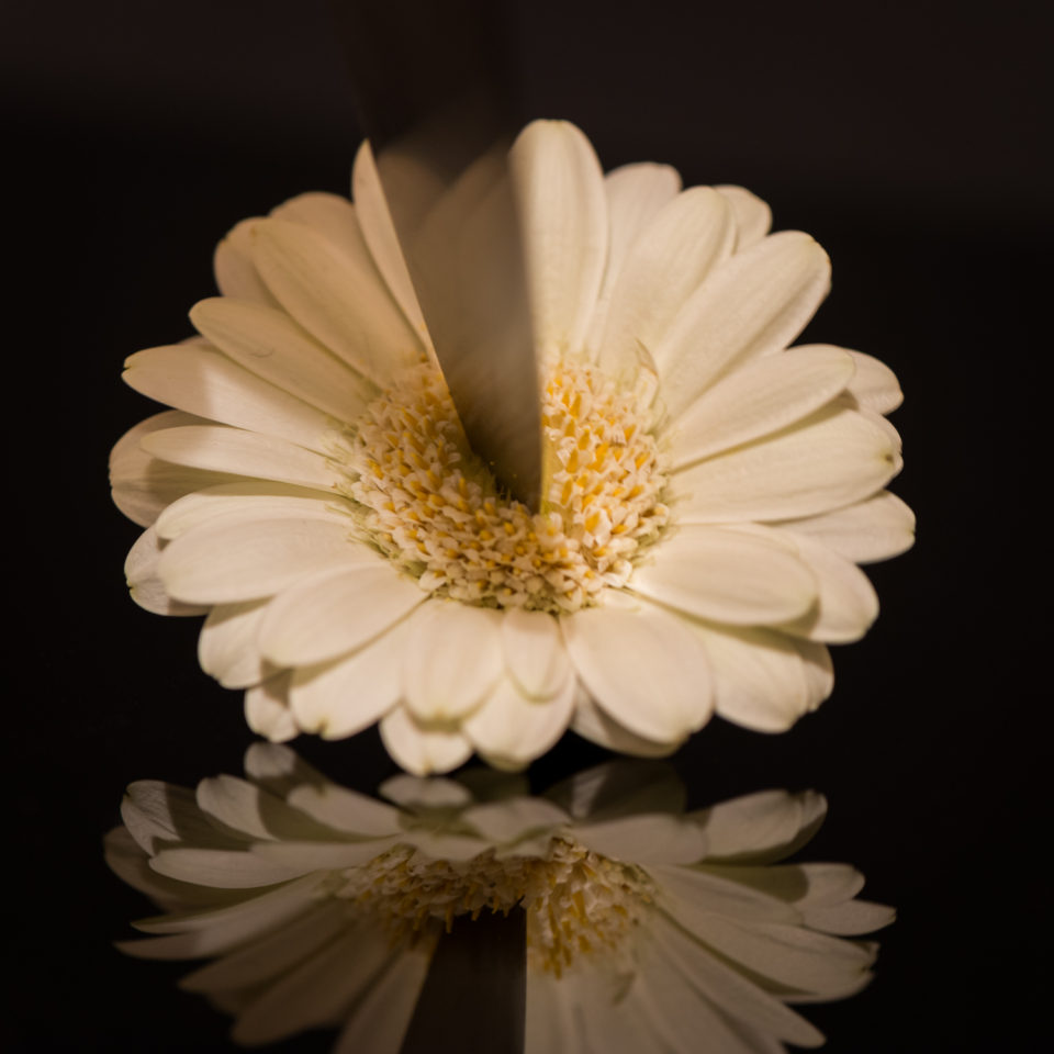 You'll Feel the Point of my Knife