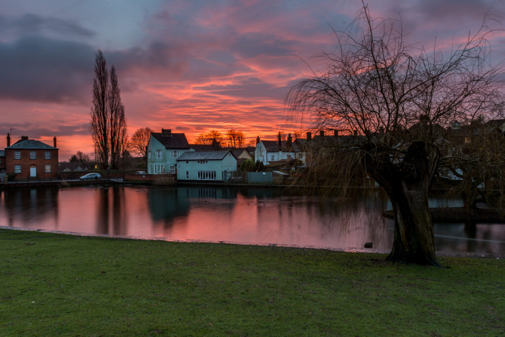 Doctors Pond 2014