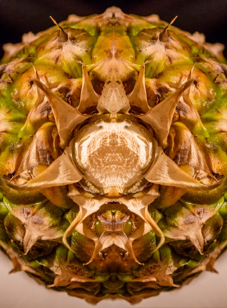 It's Coming to Get You!