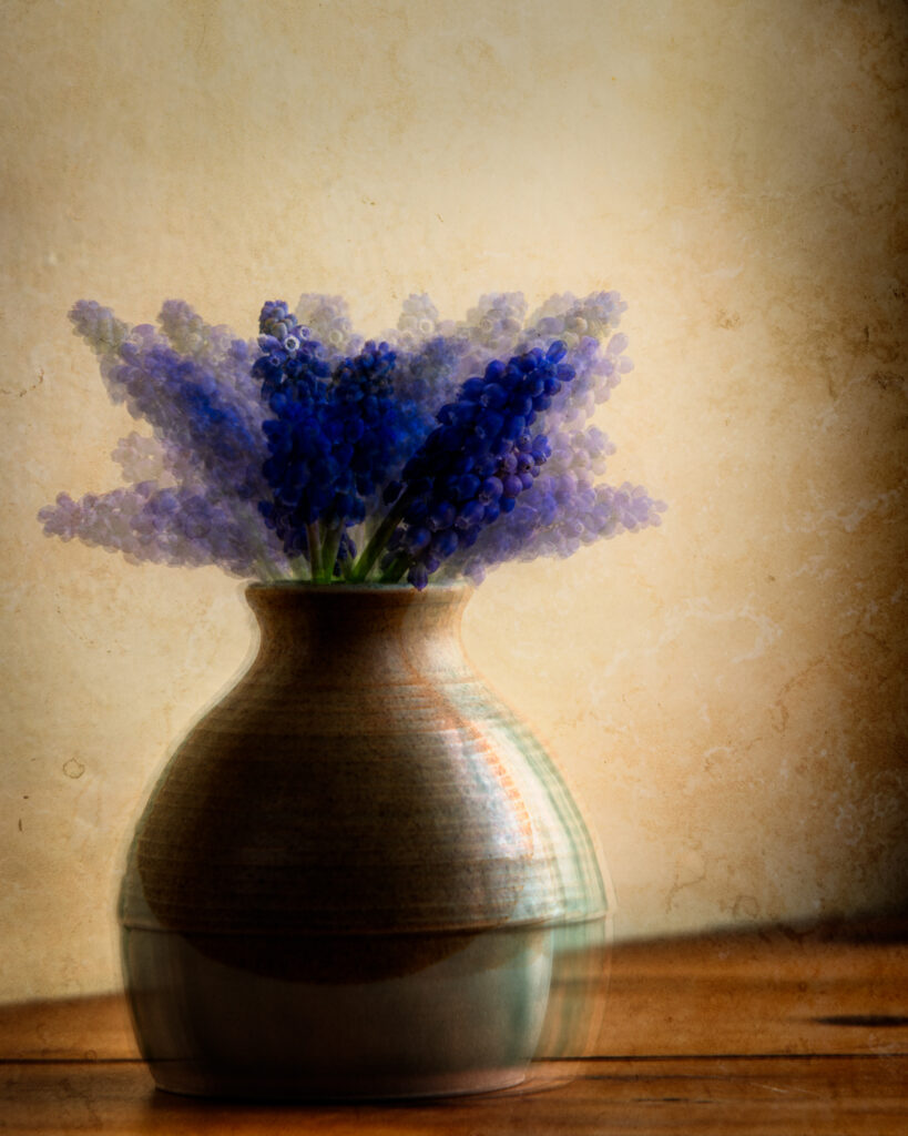 A Vase of Muscari