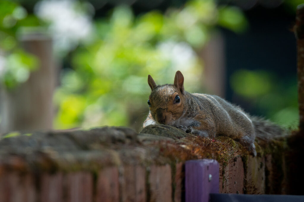 Keeping a Low Profile