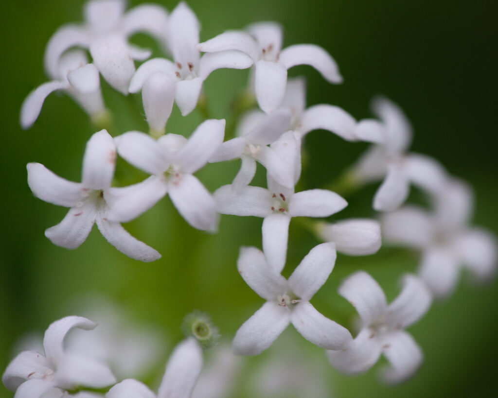 Just That Bit Closer