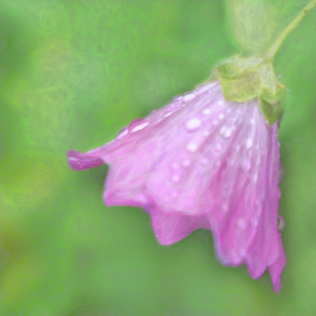 The Mistakes We Make