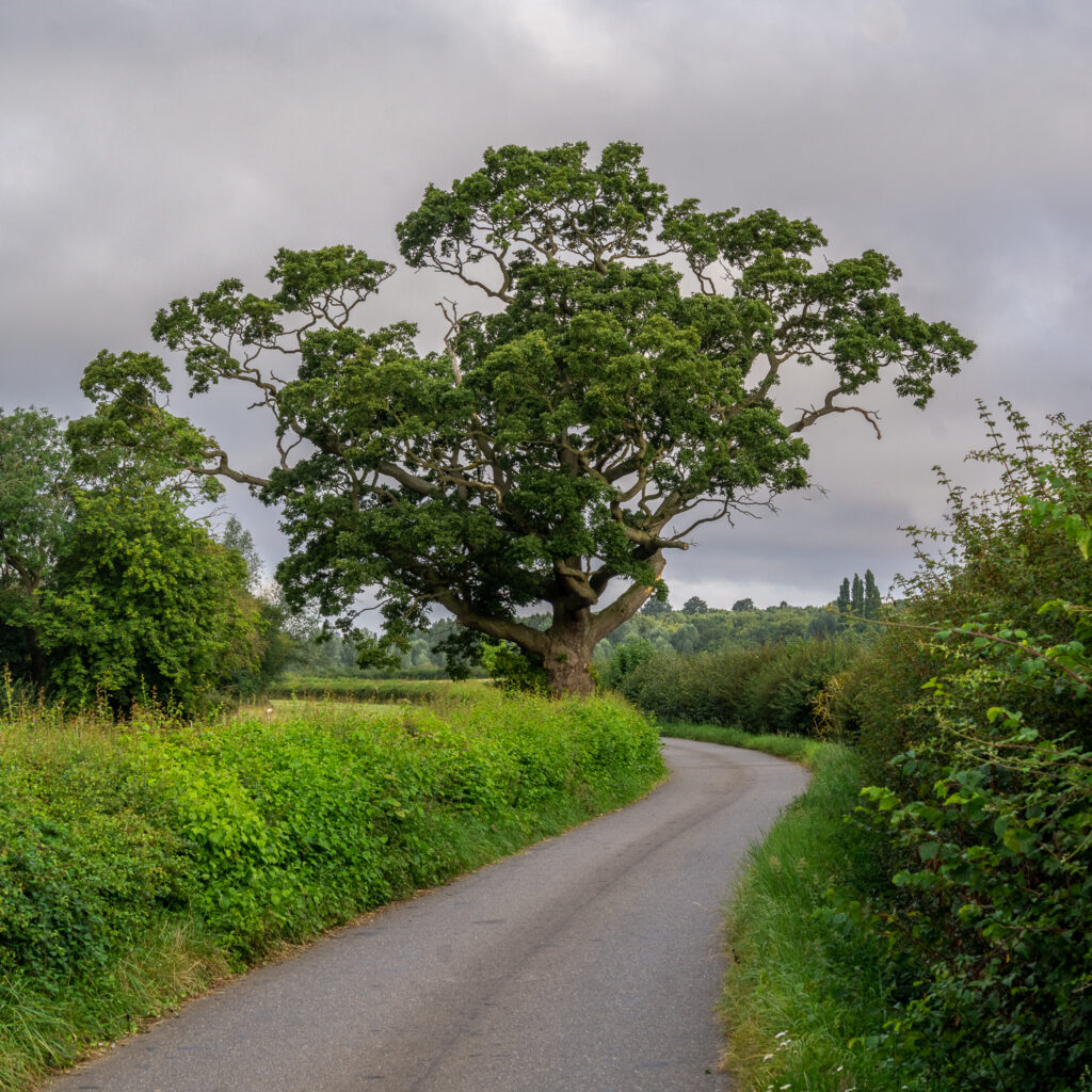 Down the road and round the corner