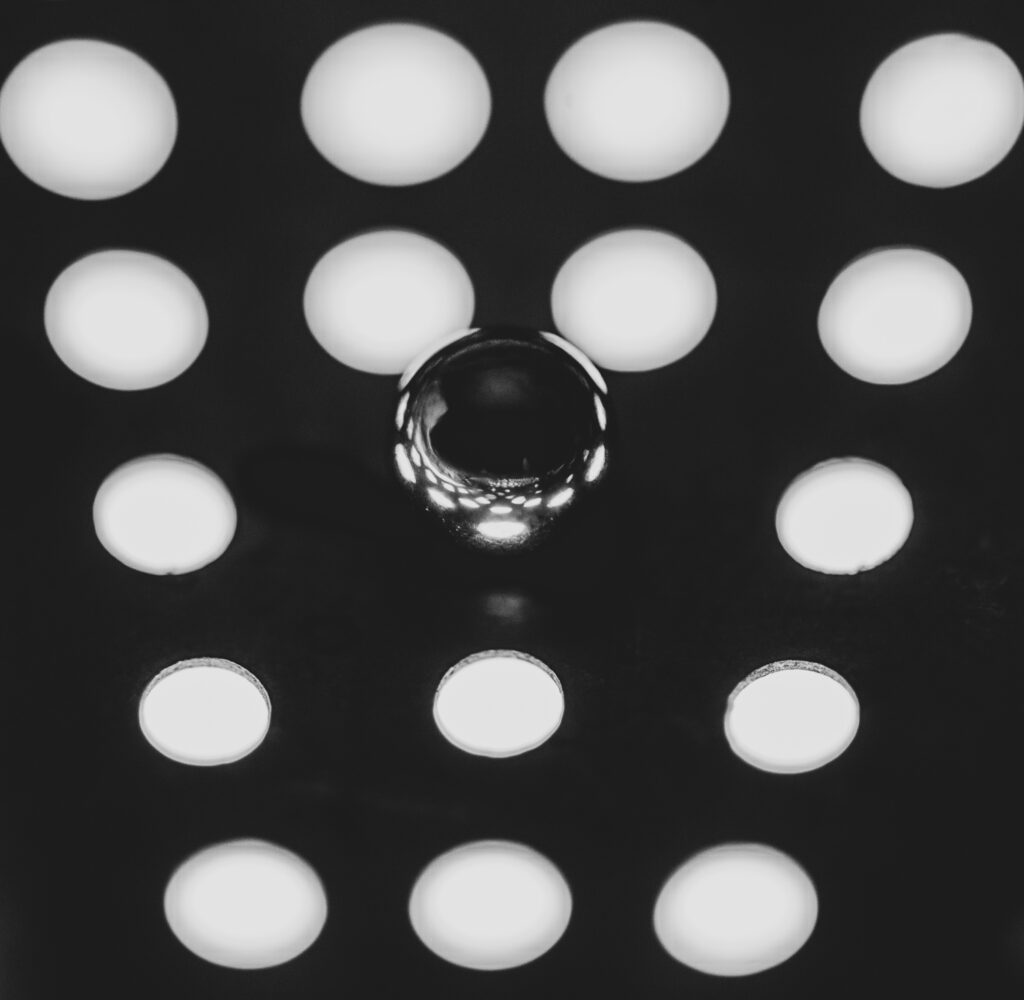 Black and White Unite XIX Reflections of the Tardis