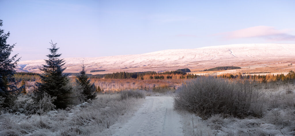 actually, not a 6 x 17 pano!