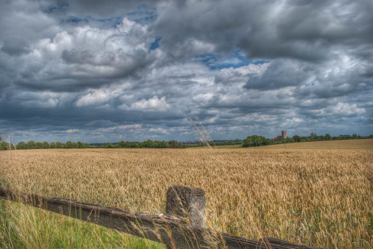 Beauchamp Roding Church in fields