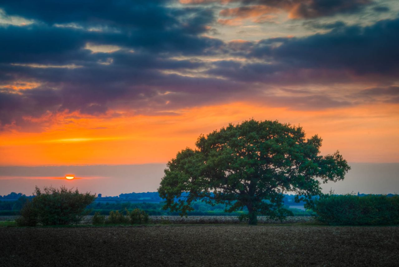 Sunset at Aythorpe Roding
