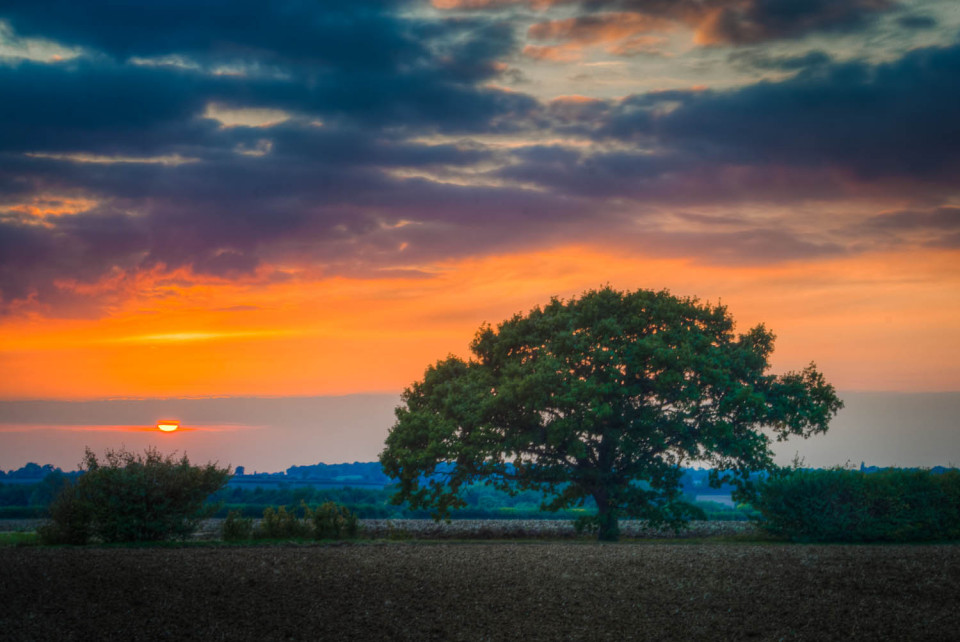 Sunset at Aythorpe Roding