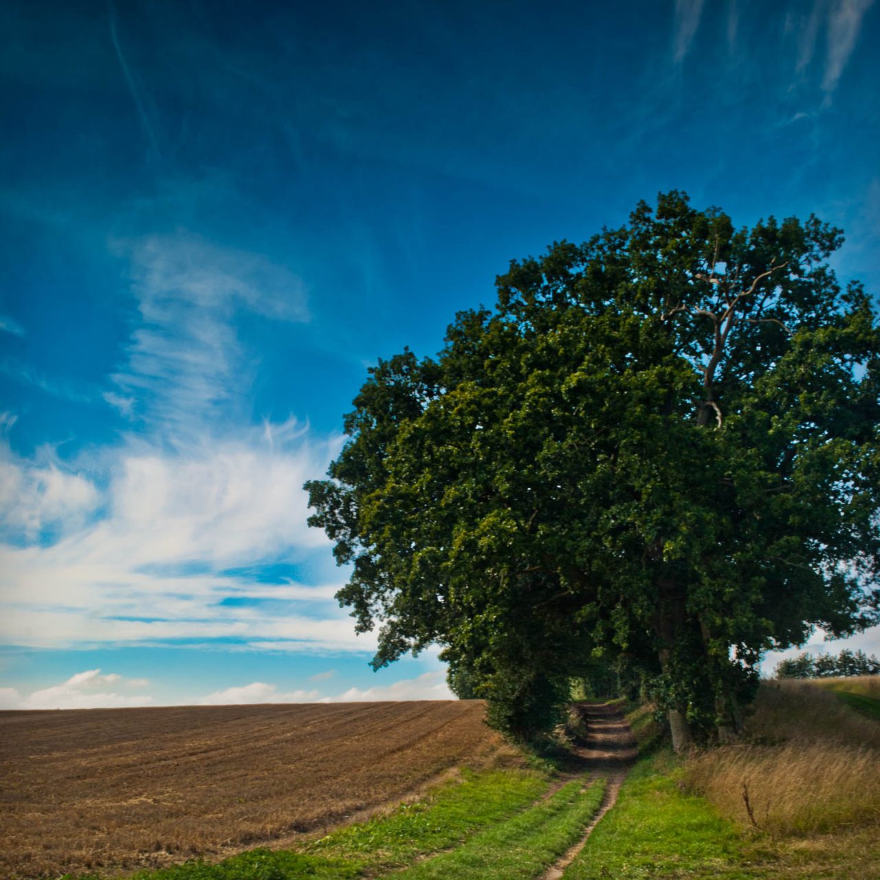Rickling Covered Walk