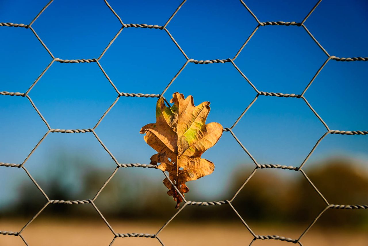 Trapped