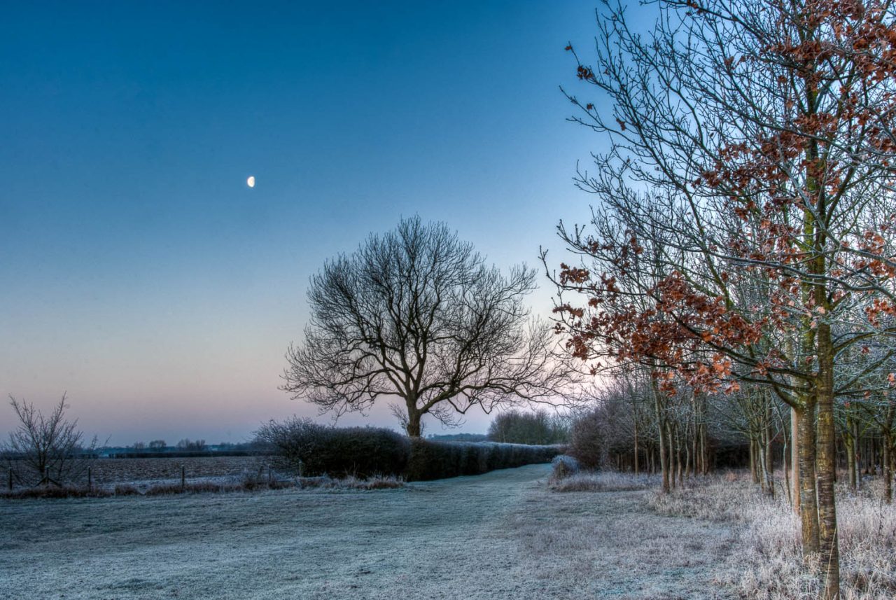 Aythorpe Roding Farmtrack Dawn