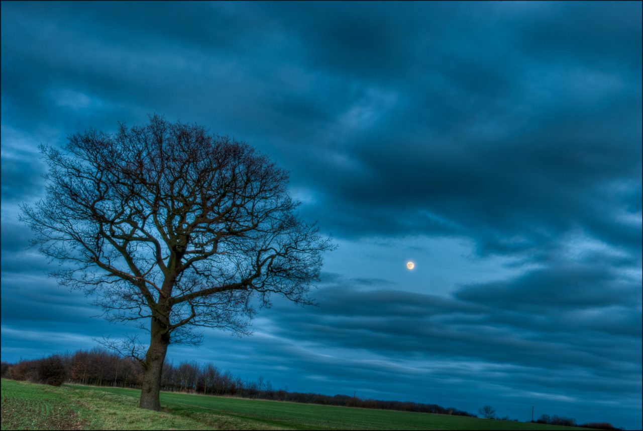 Berners Roding Moon Rise