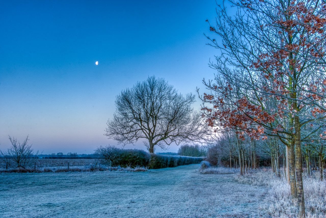 One Frosty Morning