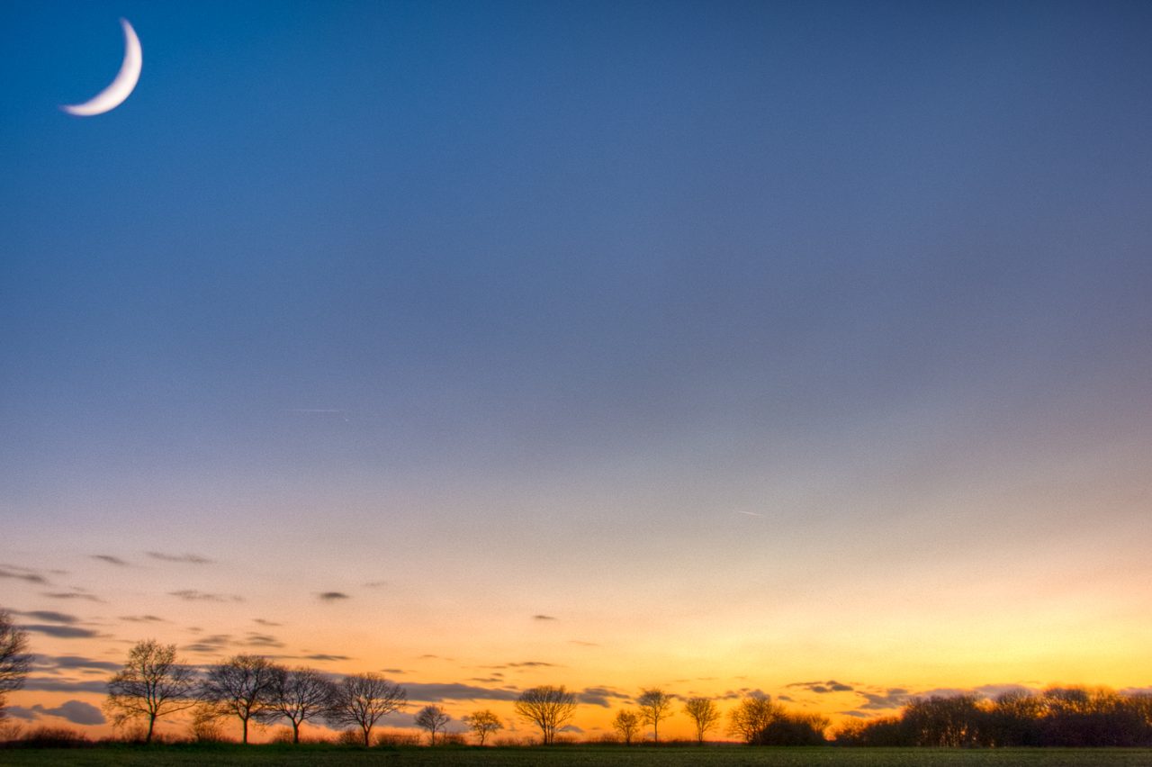 Rowney Woods moonrise and sunset