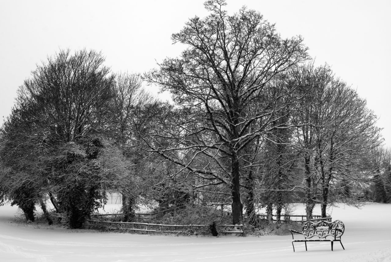 Not Quite Doctors Pond, Great Dunmow, Essex