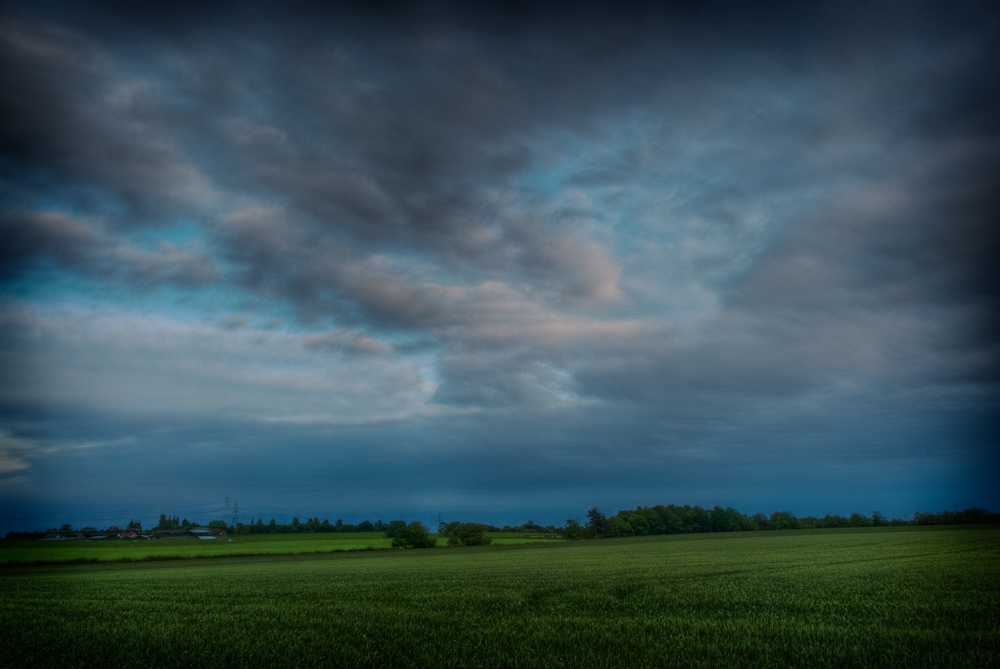 Little Hadham Landscape