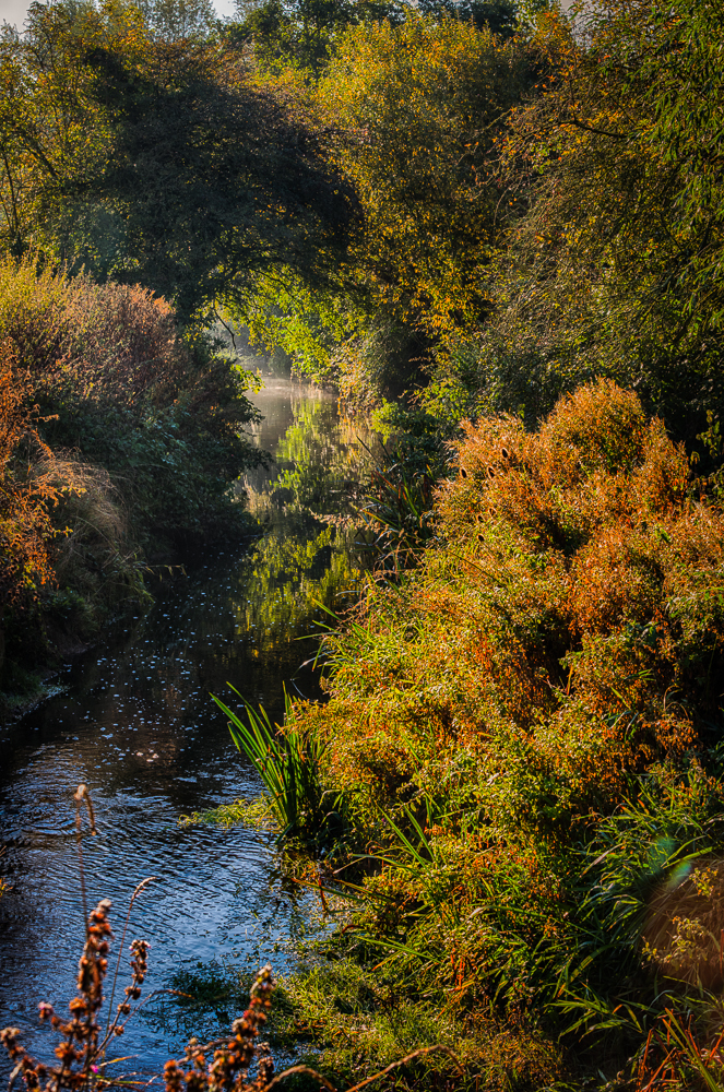 Autumn on The Chelmer, Great Dunmow