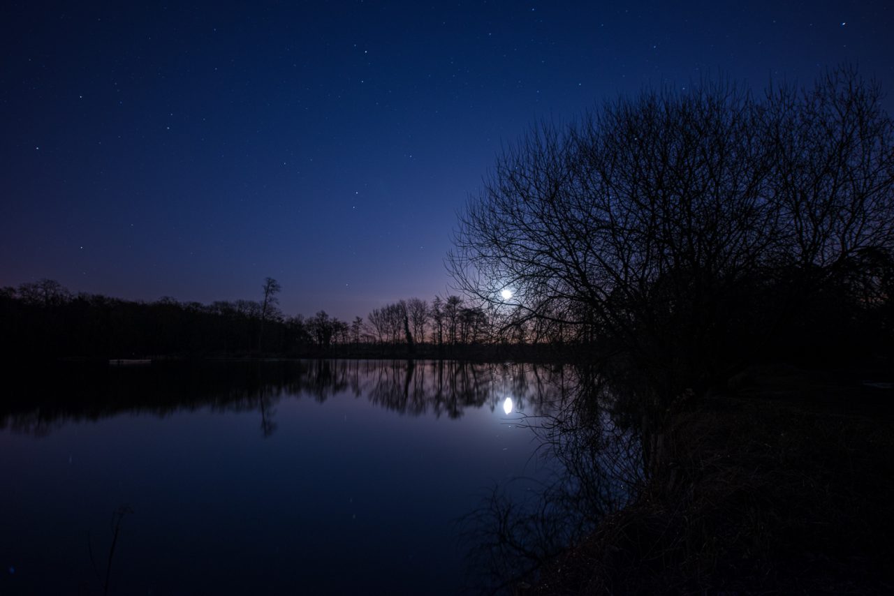 Moonlight on Hatfield Forest Lake