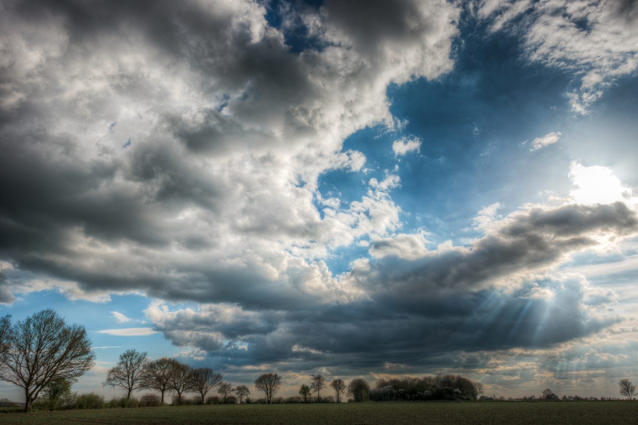 Sun over Rowney Woods